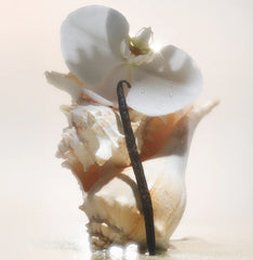 Salt Water Vanilla - Cleanse & Hydrate Bundle