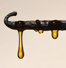 Salt Water Vanilla - Skincare Deodorant