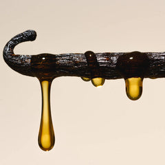 Salt Water Vanilla - Vault Set