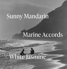 Black Tide - Body Wash 2pck