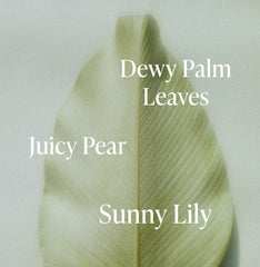 Lush Greens - Travel Size Body Wash